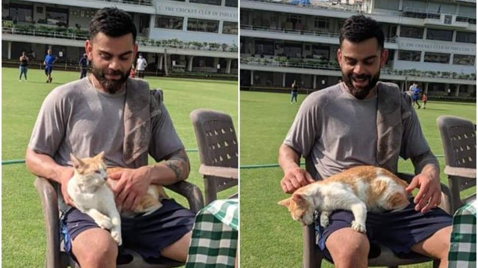 Virat Kohli’s &#039;launda from Dilli and Mumbai ki billi&#039; reply to Anushka Sharma goes viral, see pic