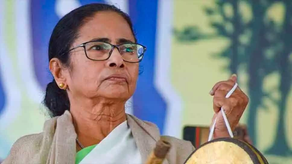 &#039;Why should we meet Sonia every time?&#039; Is Mamata Banerjee dropping a hint