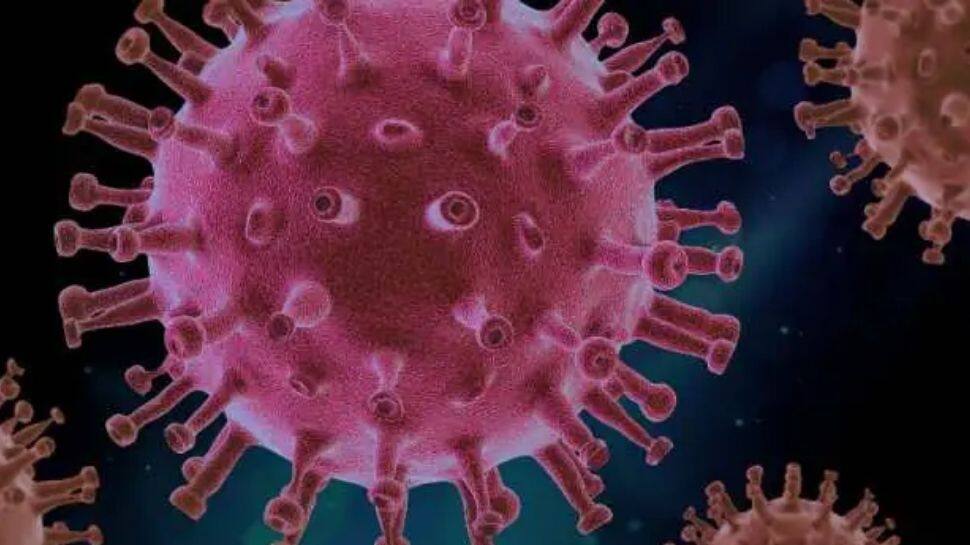 Coronavirus ALERT! New COVID-19 variant detected in South Africa