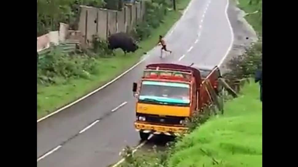 Man mercilessly beats injured wild Indian Gaur in Nilgiris, video surfaces  | India News | Zee News
