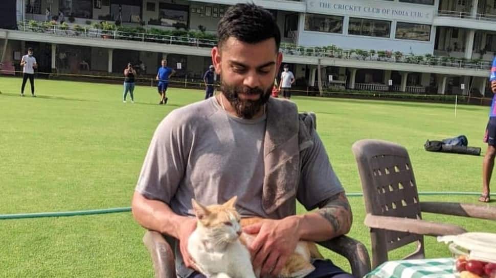 India vs Selandia Baru 2021: Wasim Jaffer membagikan meme viral ‘Hera-Pheri’ untuk menandakan kembalinya Virat Kohli ke tim |  Berita Kriket