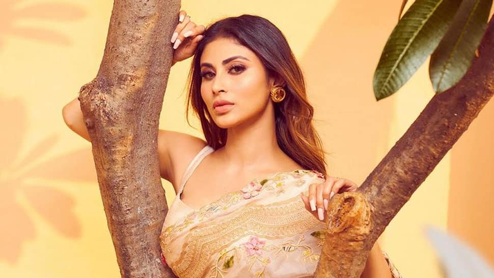 Mouni Roy gets BRUTALLY trolled for her looks at Tadap premiere - Watch