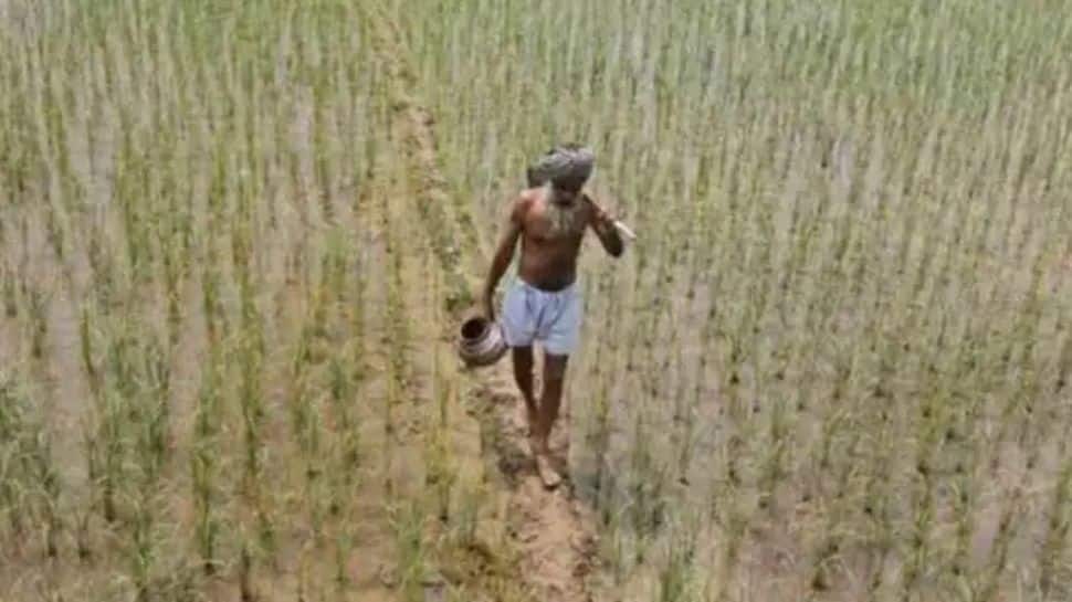 PM Kisan 10th instalment: Farmers could get Rs 2000 by Dec 15, check how to add name