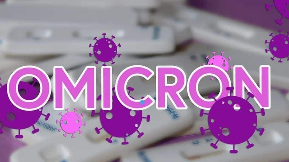 Karnataka&#039;s 2 Omicron cases: One with no travel history, second left India a week after testing positive 