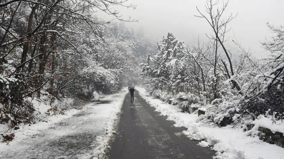 Jammu dan Kashmir, Ladakh menyaksikan hujan salju baru, jalan perbatasan ditutup |  Berita India