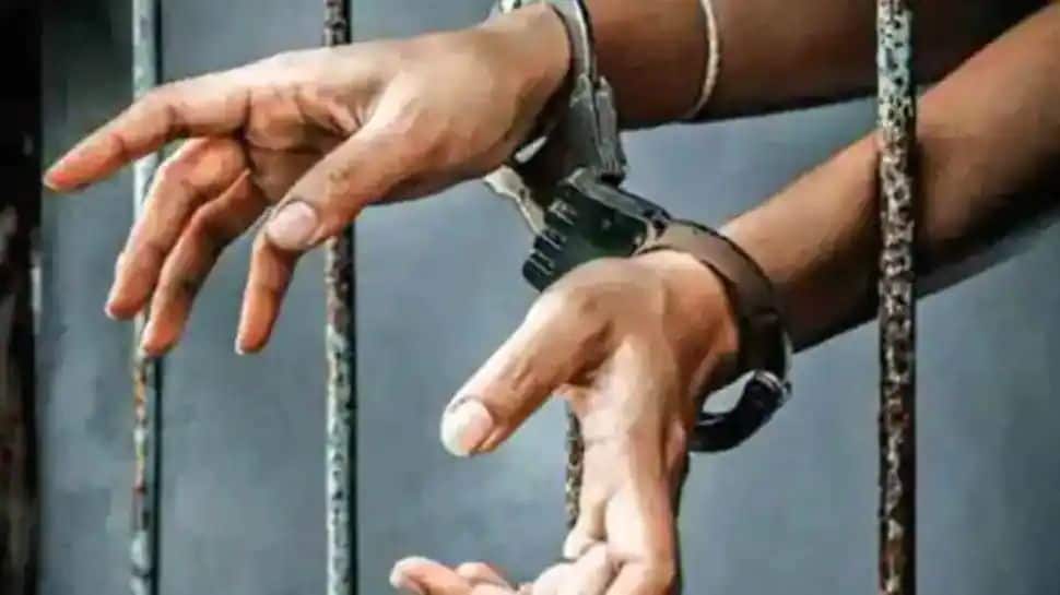 Two terrorists arrested in Jammu and Kashmir&#039;s Sopore