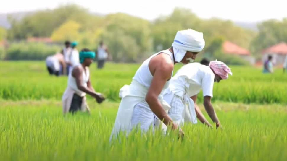 PM-KISAN 10th installment next week: Direct link to check your name on beneficiary list