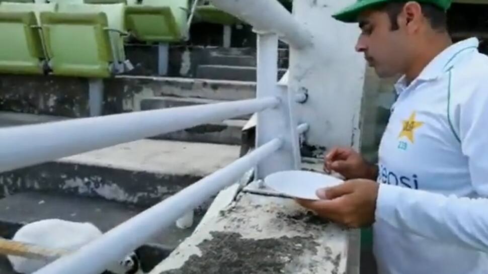 Pakistan&#039;s Abid Ali feeds cat during 2nd BAN vs PAK Test — WATCH