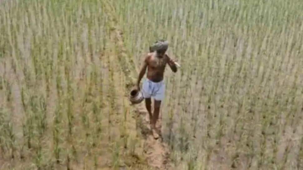 PM Kisan: Farmers could get Rs 2000 instalment ahead of New Year, here’s how to add name in beneficiary list