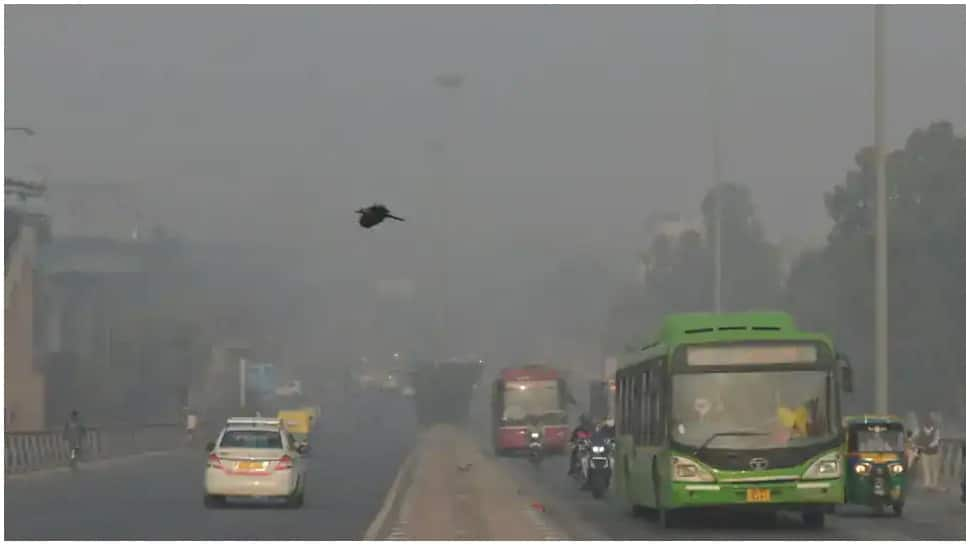 Delhi air pollution: Trucks, construction activities to remain suspended in National Capital