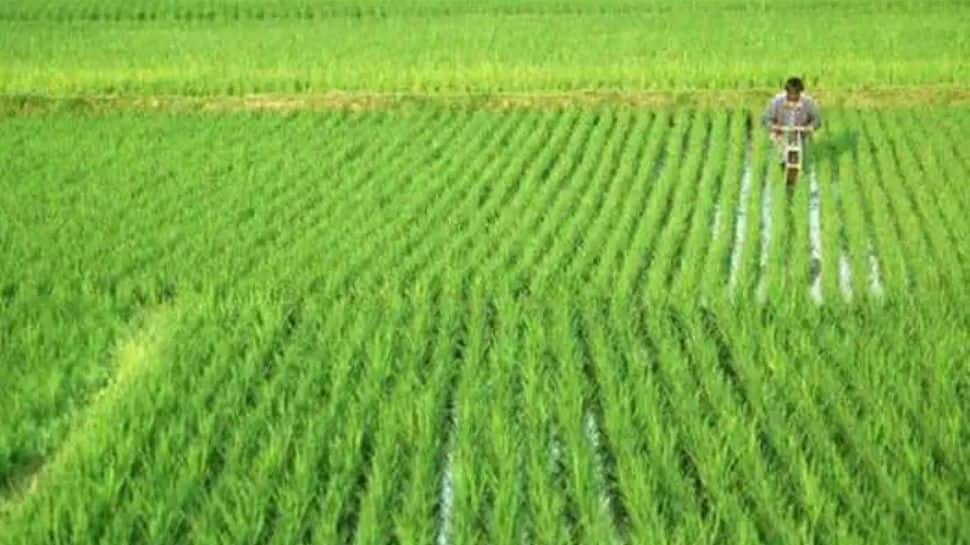 Pradhan Mantri Krishi Sinchayee Yojana: Cabinet approves implementation of PMKSY for 2021-26 