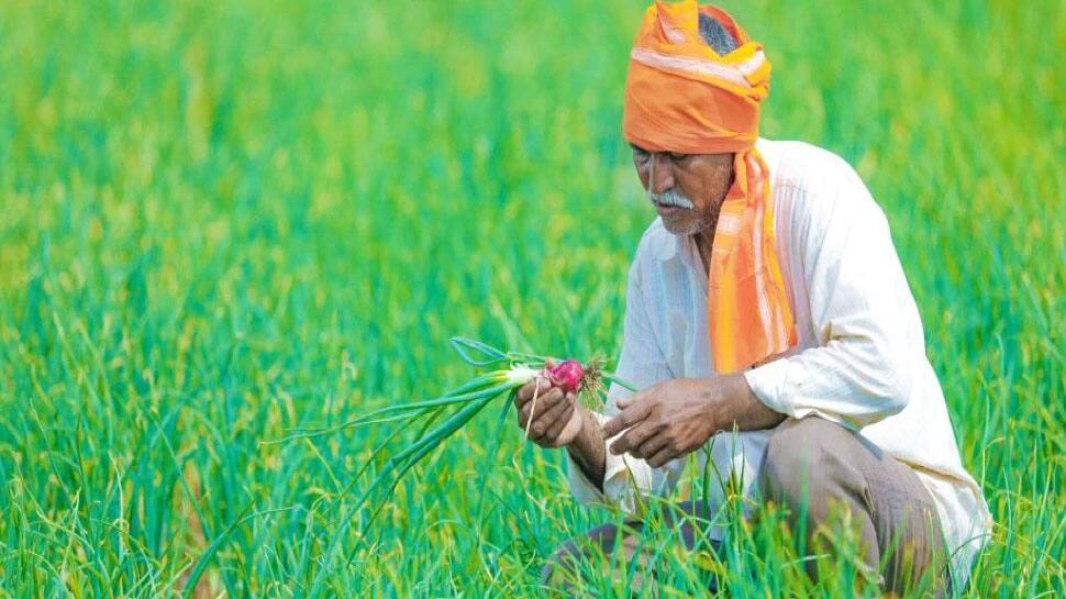 PM Kisan big update: 10th installment coming on January 1, here is all you want to know