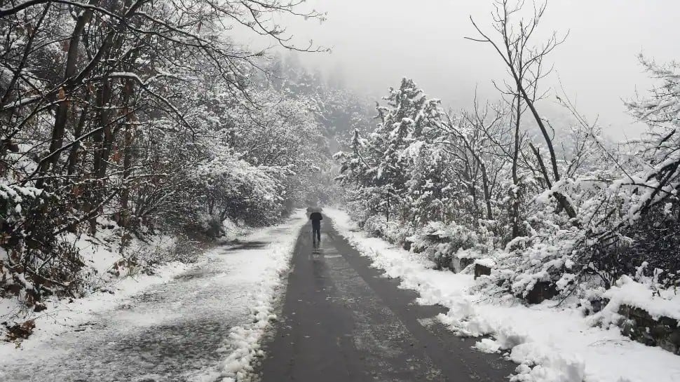 Chillai Kalan: Fresh snowfall in upper reaches of Kashmir, Ladakh; light rains expected in Jammu tonight