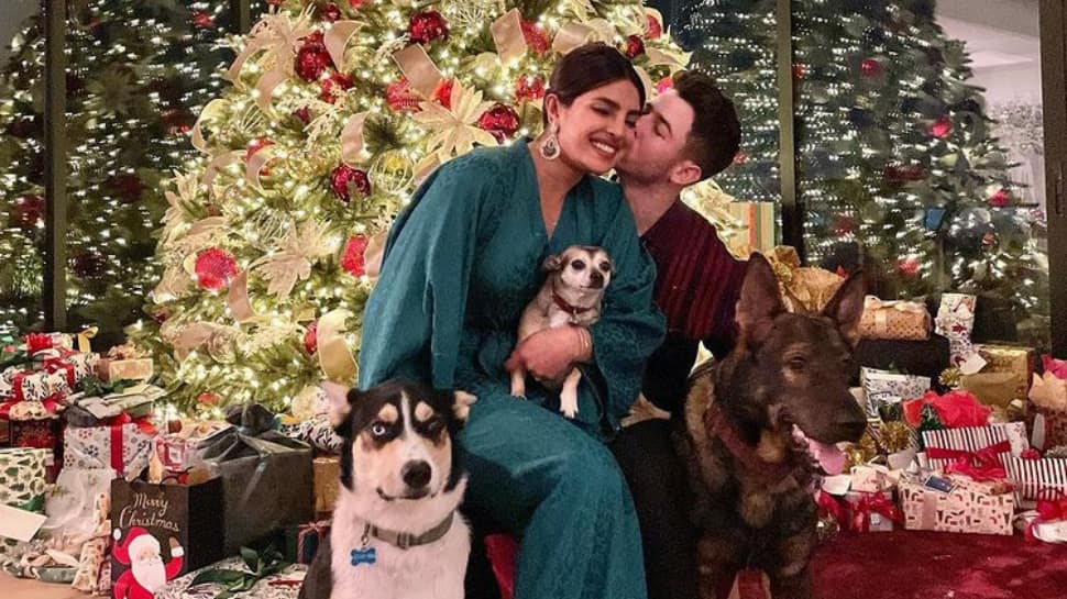 Priyanka Chopra sits on Nick Jonas lap, poses with their three dogs for a mushy Christmas family photo