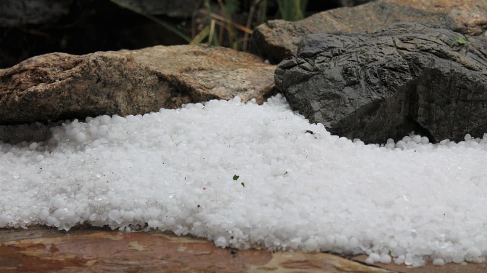 Impact of climate change? Maharashtra&#039;s Shirdi witnesses hailstorm, crops damaged 