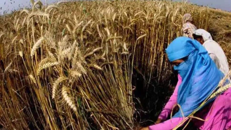 Centre may hike agri credit target to about Rs 18 lakh crore in upcoming Budget