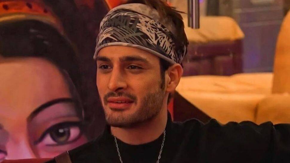 Umar Riaz evicted from Bigg Boss 15? Brother Asim&#039;s tweet sparks speculation