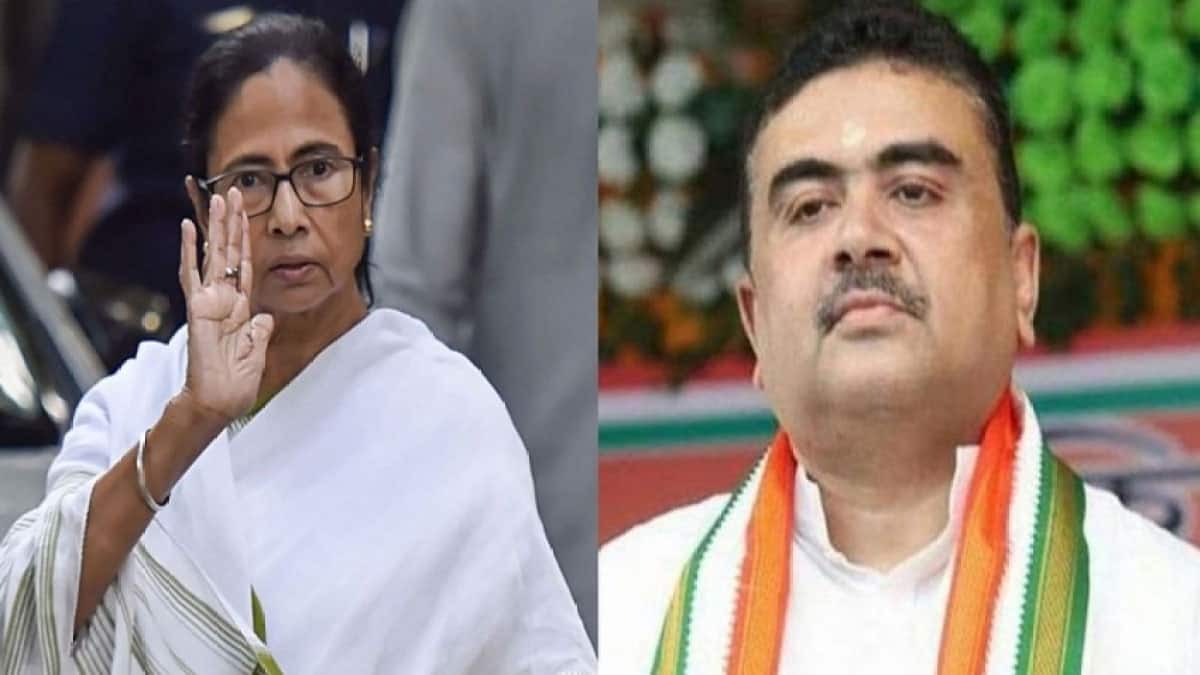 BJP takes dig at Trinamool, says Mamata Banerjee&#039;s party can&#039;t find Goans to distribute its pamphlets