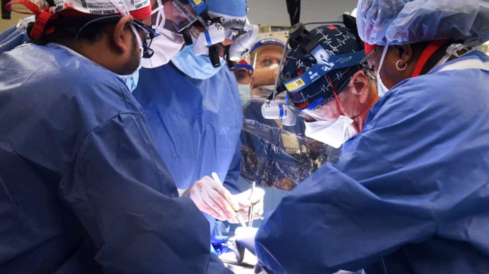 Terobosan medis!  Ahli bedah AS berhasil mentransplantasikan jantung babi ke pasien manusia |  Berita Dunia