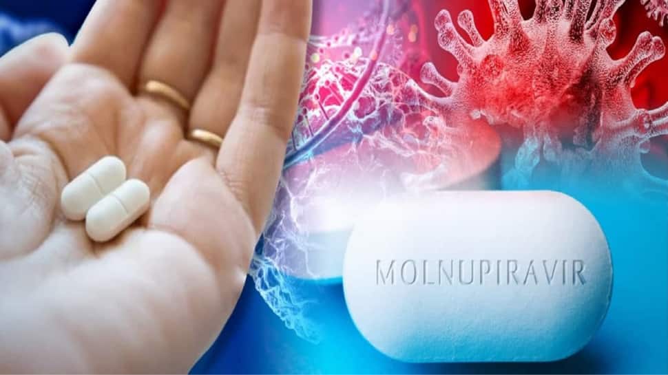 Molnupiravir benefits outweigh risk among Covid patients: Experts thumbnail