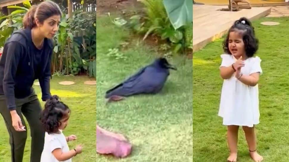 WATCH: Shilpa Shetty&#039;s daughter praying for an injured &#039;birdie&#039; is the cutest video on internet!