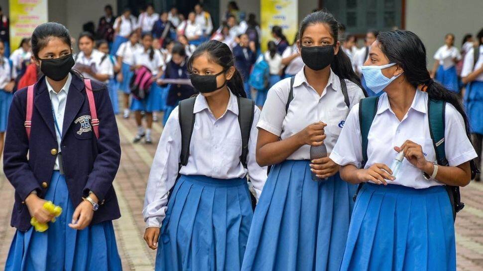 CBSE releases Class 10, 12 term 2 sample papers on cbseresults.nic.in, direct link to download here - Vimarsana News