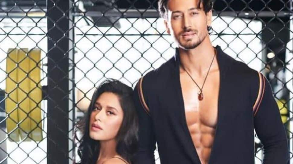 Tiger Shroff gifts Maldives trip to sister Krishna on her birthday, Disha Patani sends flowers!