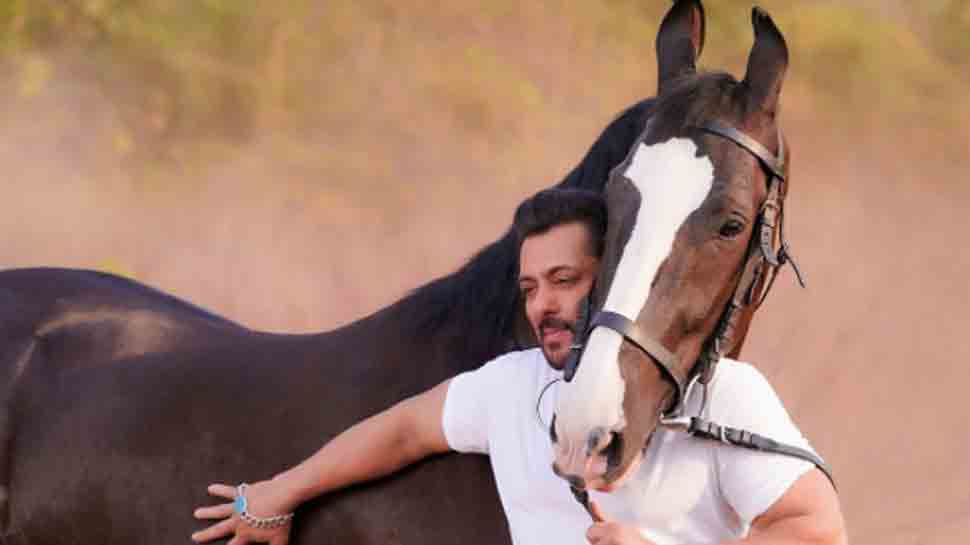 My mother is Hindu, father Muslim: Salman Khan accuses Panvel farmhouse neighbour of bringing in religion to defame him