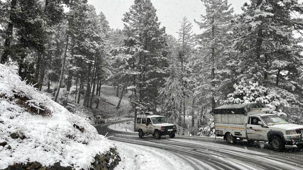 Fresh blanket of snow covers Kashmir, Gulmarg records mercury at minus 6.5°C
