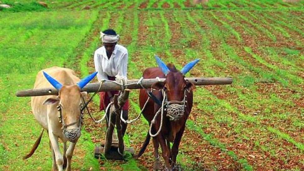 PM KISAN 10th instalment: Haven’t received Rs 2,000? You could be doing THIS mistake, know how to rectify it thumbnail