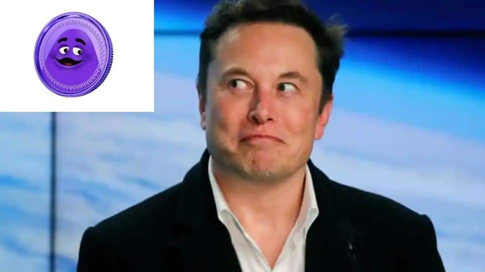 Elon Musk, McDonald&#039;s fun-intended Twitter tittle-tattle pushes GrimaceCoin to jump 6000% 