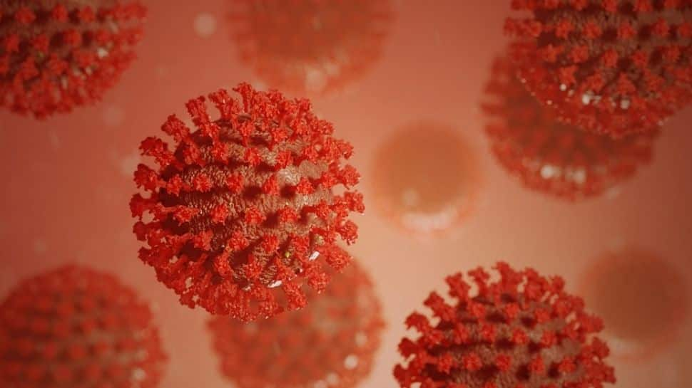 Is NeoCov the deadliest strain of coronavirus? All about the variant, and why it&#039;s in news