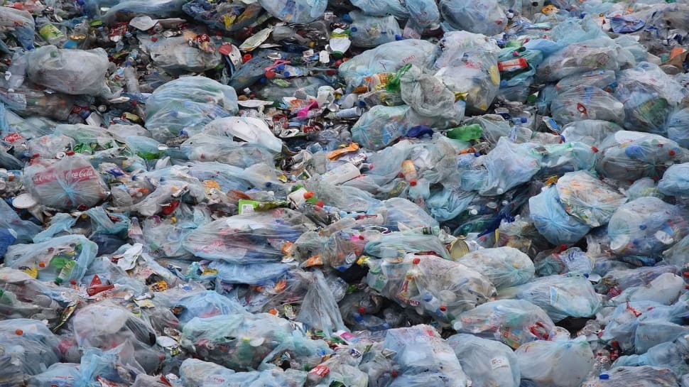 Green India Polymers turning trash into sustainable wealth, here’s how