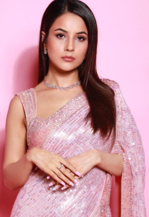 Shehnaaz Gill looks royal in a sequined, powder pink Manish