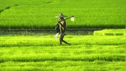 Budget 2022: Kisan drones, services in PPP mode to open doors for agriculture