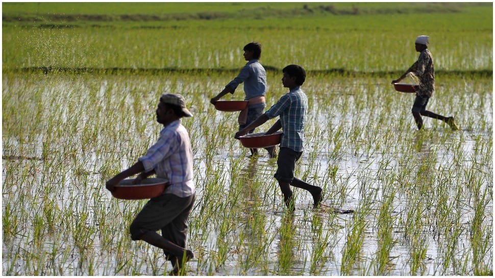 UP polls: BJP, SP left us in the lurch, will choose &#039;NOTA&#039;, say farmers in Lakhimpur Kheri