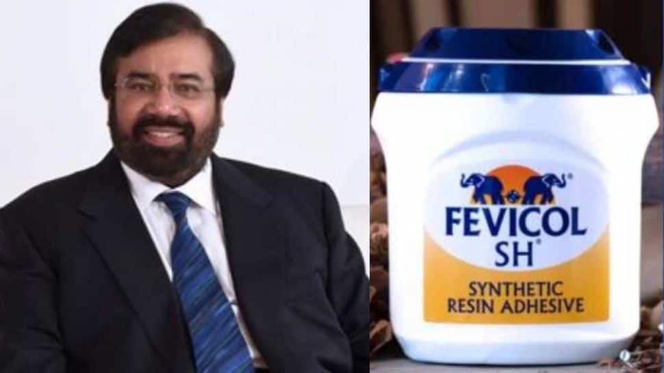 Fevicol’s savage reply to Harsh Goenka shows that the brand knows a thing or two about ‘bonding’