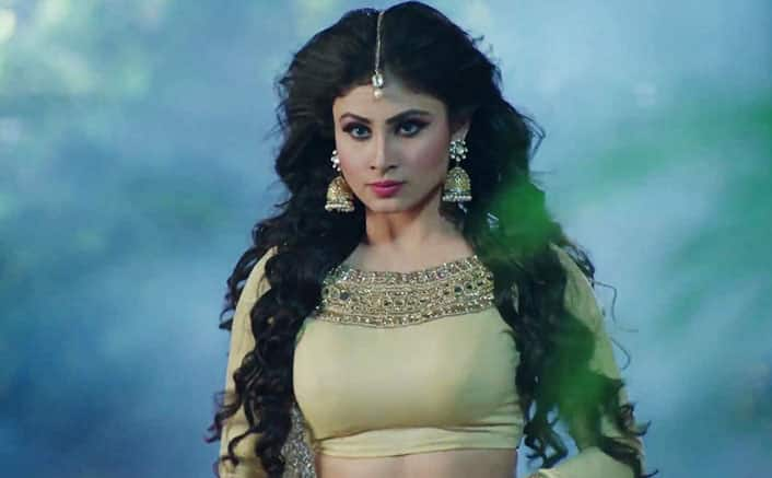 Naagin 1 saw Mouni Roy as the stunning lead