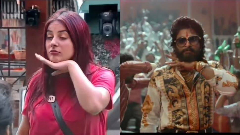 What&#039;s common between Shehnaaz Gill and Allu Arjun from Pushpa? Watch to find out!