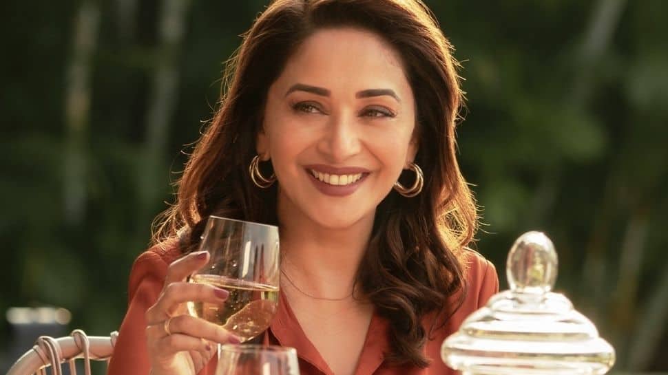 Madhuri Dixit&#039;s The Fame Game series: There&#039;s always more than what meets the eye!