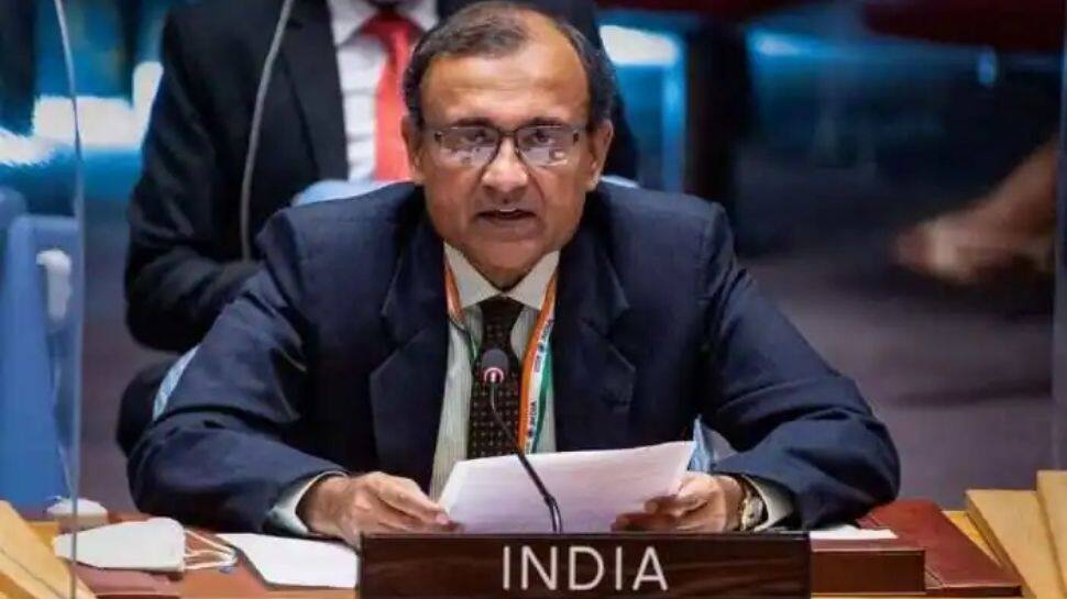 &#039;We have leaders who continue to defend Laden as a martyr&#039;, India&#039;s UN envoy slams Pakistan at UNSC