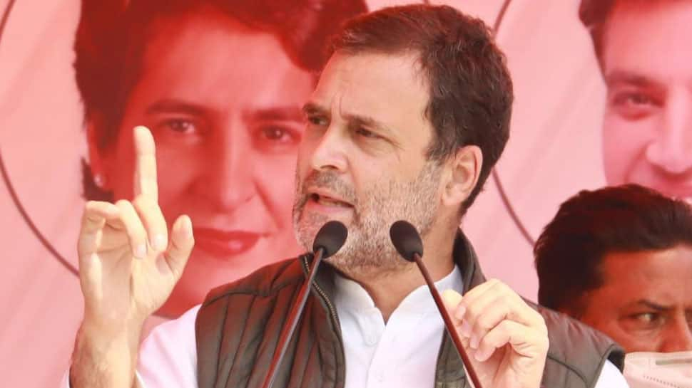 Not afraid of PM Narendra Modi&#039;s ED, CBI: Rahul Gandhi in Haridwar