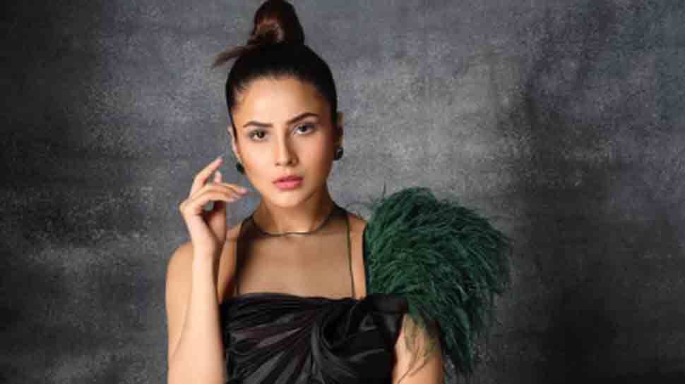 Bigg Boss 13 fame Shehnaaz Gill plays with pigeons on a beach in cheerful video, fans elated