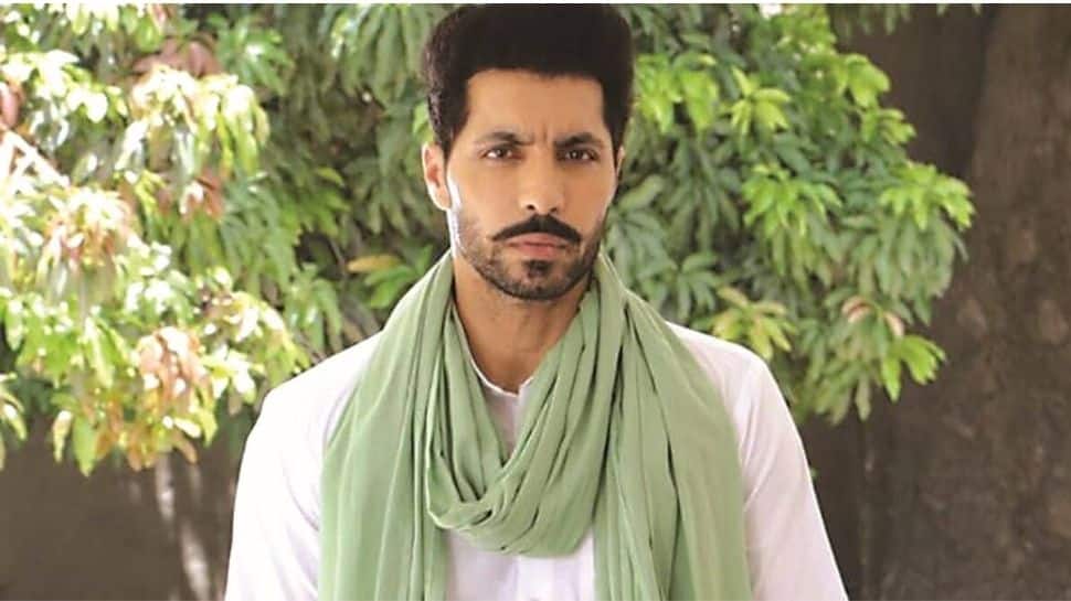 Punjabi actor-activist Deep Sidhu, accused in Republic Day violence, dies in road mishap
