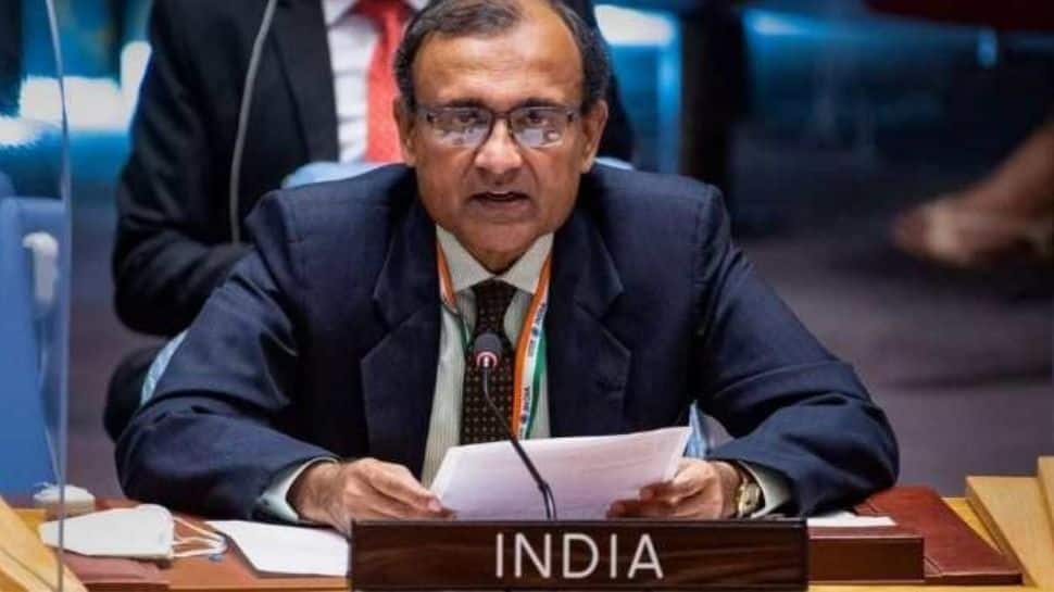 UNSC meet on Ukraine: Well-being of our nationals a priority, says India