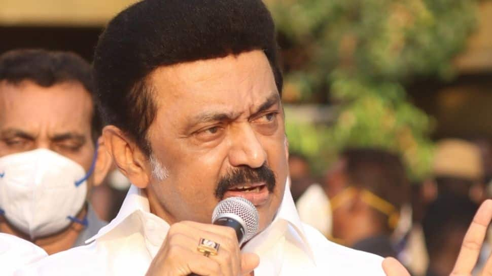 Tamil Nadu urban local body polls: DMK&#039;s huge win is a certificate from people, says CM Stalin