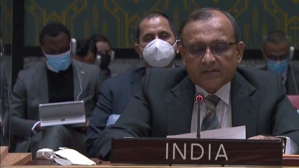 India, China abstain on UNSC resolution against Russia; here&#039;s what New Delhi said