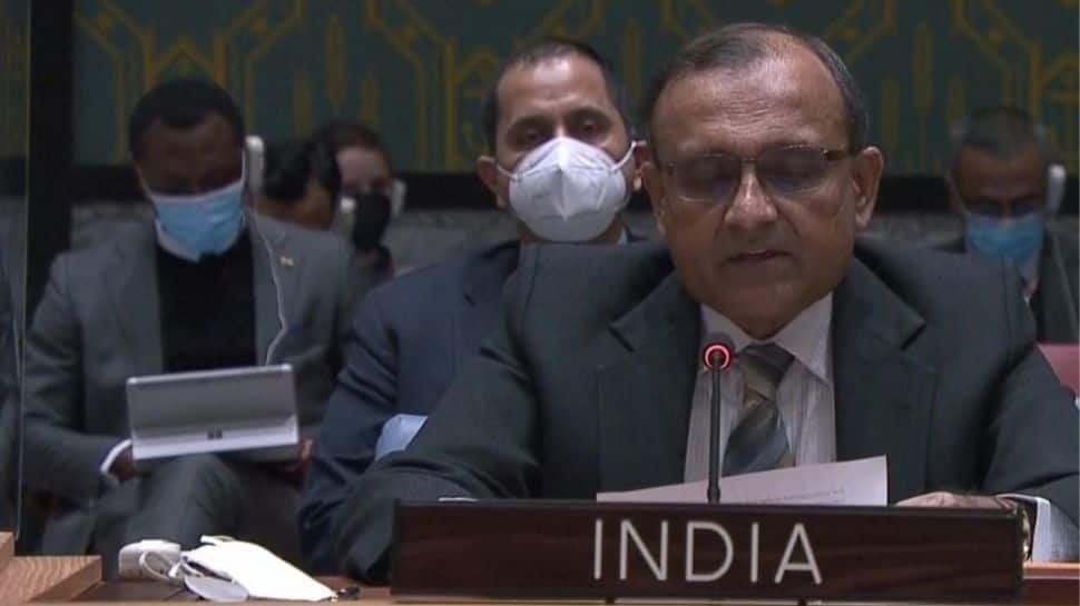 ‘Independent, balanced position’: Russia on India abstaining from voting on UNSC resolution