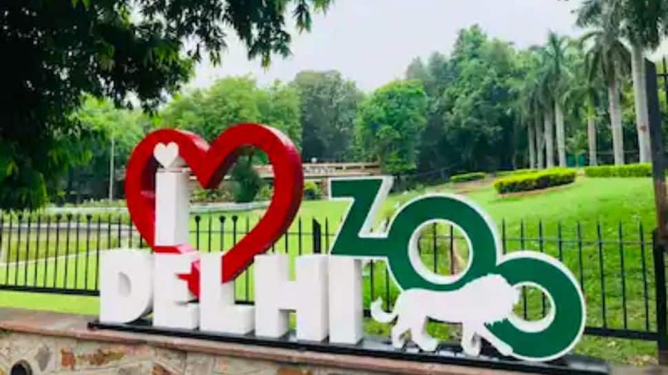 Delhi Unlock: ​​Zoo reopens in national capital, all tickets sold overnight