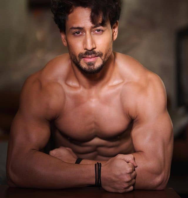 Tiger Shroff is trained in Martial Arts